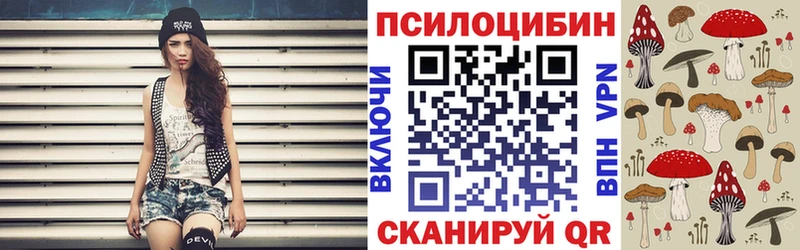 купить наркоту  Гаврилов-Ям  ОМГ ОМГ сайт  Псилоцибиновые грибы MAGIC MUSHROOMS 